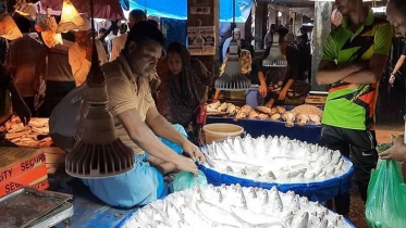 ইলিশের দাম এখনও নাগালের বাইরে