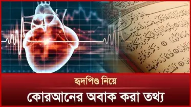 মানুষ সিদ্ধান্ত নেয় মস্তিষ্ক থেকে, না হৃদপিন্ড থেকে?