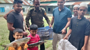 ইলিশ শিকারের দায়ে ১৪ জনের কারাদণ্ড