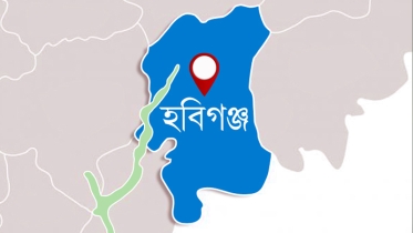 হবিগঞ্জে ট্রাক চাপায় সেনা সদস্য নিহত