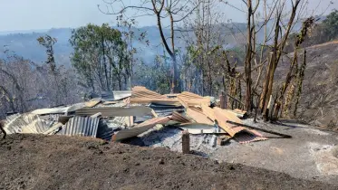 বান্দরবানে দূর্বৃত্তের লাগানো আগুনে পুড়ে ছাই বাগান বাড়ি