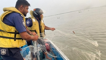 নিষেধাজ্ঞা অমান্য করে ইলিশ শিকার, ২২ জেলে আটক