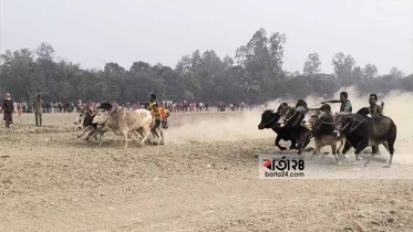  ঐতিহ্যবাহী মই দৌড় দেখতে হাজারো লোকের ভিড়