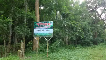 সাতছড়ি উদ্যানে আগুন, অল্পের জন্য রক্ষা