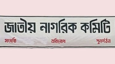 নাগরিক কমিটিতে সারজিস আলমসহ আরও ৪৫ তরুণ