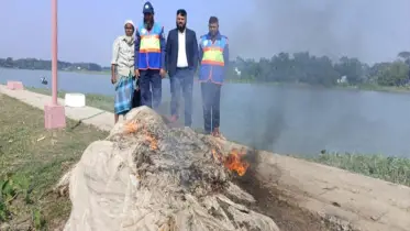 হালদা নদীতে যৌথ অভিযানে  ৬০০০ মিটার অবৈধ জাল জব্দ