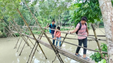 পাঁচ গ্রামের মানুষের ভরসা এখন বাঁশের সাঁকো 