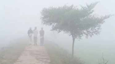 উত্তরাঞ্চলে বাড়ছে  শীত ও কুয়াশার দাপট 