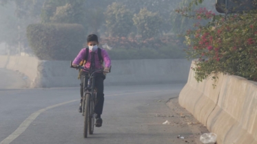 পাকিস্তানে তীব্র বায়ু দূষণে স্কুল বন্ধ ঘোষণা