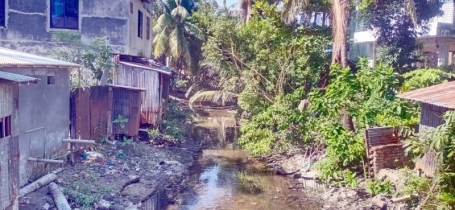 কলাপাড়া পৌরশহরের একমাত্র খালটি এখন বর্জ্যের ভাগাড়