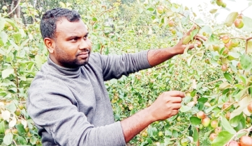 সফল তরুণ কৃষি উদ্যোক্তা নাটোরের রাকিবুল ইসলাম