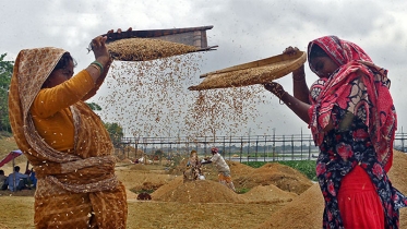 কৃষক পরিবারের মেয়ে 