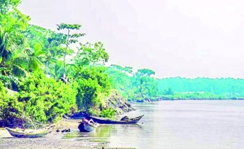 প্রাকৃতিক সৌন্দর্যের আধার  নিঝুম দ্বীপ ও মুছাপুর  ক্লোজার