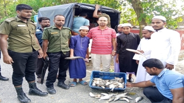 ইলিশ শিকার:  ১৪ জনের কারাদণ্ডসহ ২ ক্রেতাকে অর্থদন্ড