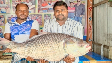 এক কাতলের দাম ৩৯ হাজার টাকা