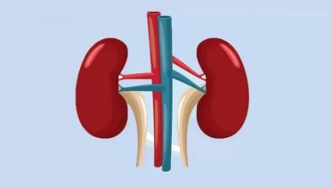 প্রায় আড়াই লাখ শিশু ভুগছে ক্রনিক কিডনি রোগে 