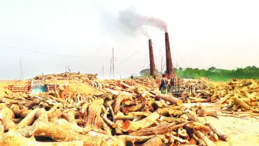 গফরগাঁওয়ে প্রশাসনকে ম্যানেজ করেই চলছে অবৈধ ২৭ ইটভাঁটি