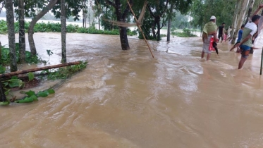 শেরপুরে নতুন এলাকা প্লাবিত, মৃতের সংখ্যা বেড়ে ৭