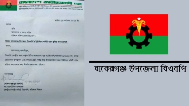 বিএনপির ইউনিয়ন কমিটি গঠন স্থগিতের নির্দেশ 