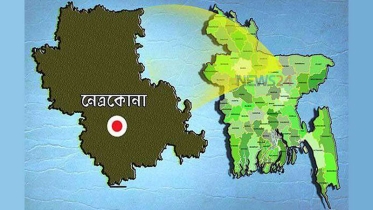 দুই ভাইয়ের ঝগড়া থামাতে গিয়ে মায়ের মৃত্যু