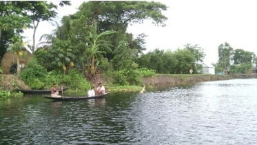 জীব বৈচিত্রে সমৃদ্ধ মুকসুদপুরের বিল চান্দা