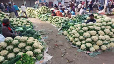 আদমদীঘিতে শাক সবজির দামে ধ্বস,  লোকসানে কৃষক