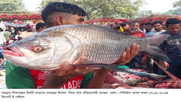 `বগুড়ার শিবগঞ্জে সম্প্রীতির বন্ধনে নবান্ন’ ঘিরে মাছের ঐতিহ্যবাহী মেলা