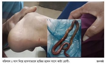 সাপে কাটা রোগী সাপ নিয়ে হাজির হলেন হাসপাতালে