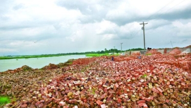 মেঘনা নদী দখল: ইটভাটার মালিকদের লাগাম টানবে কে?