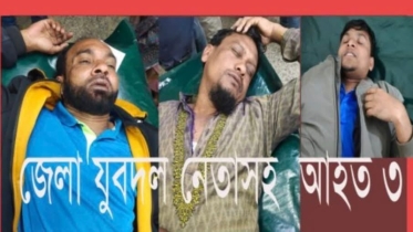 সন্ত্রাসী হামলায় যুবদল নেতাসহ আহত ৩