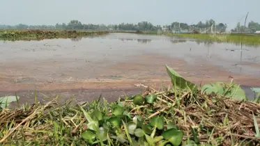 নওগাঁয় জলমহাল ইজারায় সাবেক জেলা প্রশাসক হারুন অর রশিদের বিরুদ্ধে দুর্নীতির অভিযোগ