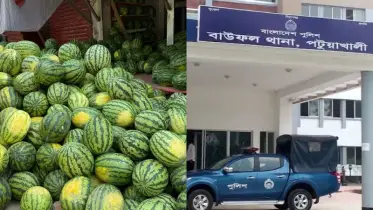 বাউফলে  তরমুজের ট্রলার ডাকাতি, আহত-৯