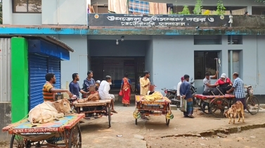 বোয়ালমারীতে ছাগলের পিপিআর টিকা কর্মসূচিতে দূর্নীতির অভিযোগ