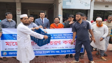 চাঁদপুরে বন্যায় ক্ষতিগ্রস্ত প্রান্তিক চাষিদের মাঝে মাছের পোনা বিতরণ