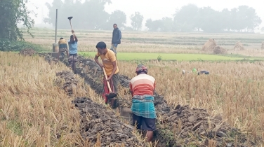 বরেন্দ্র অঞ্চলে ভূগর্ভস্থ পানির তীব্র সংকট, ধান চাষে নিরুৎসাহ