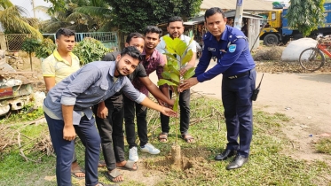 ধনবাড়ীতে বৃক্ষ রোপন কর্মসূচী পালিত