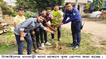 ধনবাড়ীতে বৃক্ষ রোপন কর্মসূচী পালিত