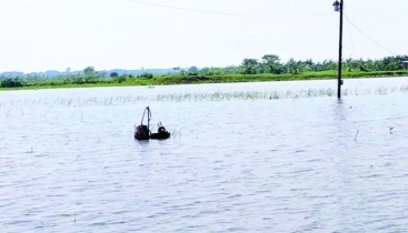 ডুবে গেছে তিন হাজার  হেক্টর জমির ফসল