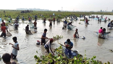 সকাল থেকে দুপুর পর্যন্ত মাছ ধরার অবিরাম চেষ্টা চালানোর পর হতাশ হয়ে বাড়ি ফেরেন তারা