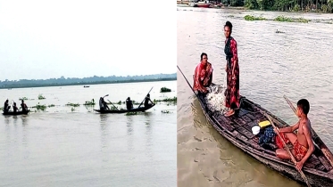 ঝালকাঠিতে নিষেধাজ্ঞা অমান্য করে চোরাগুপ্তা মা ইলিশ শিকার করছে