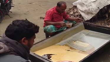 ঝিনাইদহে খেজুরের গুড় তৈরির ধুম পড়েছে