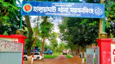 বিপন্ন তক্ষকসহ দুজন আটক