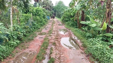 মাদারীপুরে আড়াই হাজার কিলোমিটার গ্রামীণ সড়ক বেহাল