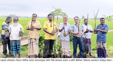 নওগাঁয় সবুজের ফেরিওয়ালা অধ্যক্ষ আরিফ ৫০ হাজার গাছ রোপণ