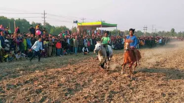 ঘোড়দৌড়ের মঞ্চে জনস্রোত: ঐতিহ্যের টানে ভিড় জমছে