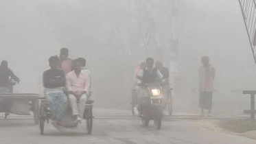 ঘন কুয়াশায় ঢাকা পুরো দেশ, সড়কে হেডলাইট জ্বালিয়ে চলছে গাড়ি