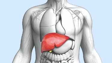 আপনার লিভার ঠিক রাখবে যে ফল!