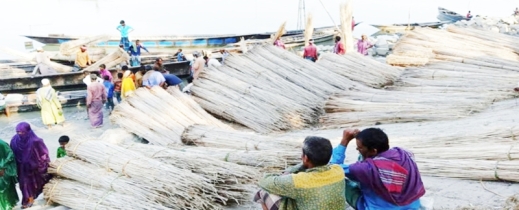 বিদেশেও যাচ্ছে পাটখড়ির চারকোল