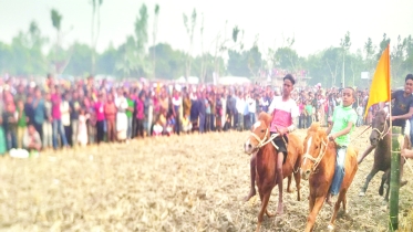 ঠাকুরগাঁওয়ে ঘোড়দৌড়  দেখতে ভিড়