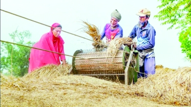 ঐতিহ্যবাহী নবান্ন উৎসব